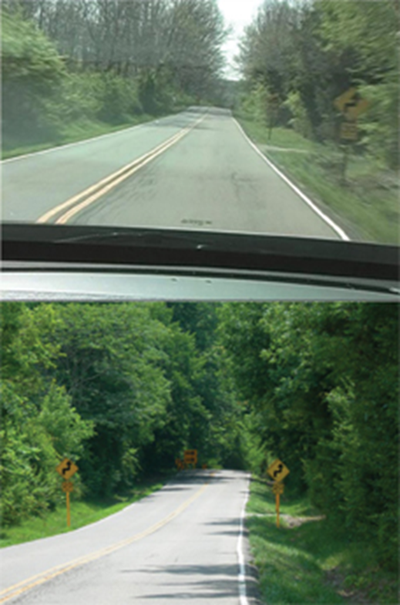 two photos of the same stretch of paved road, surrounded by trees on both sides: the top photo shows one yellow 'S'/30 MPH caution sign on the right side of the road; the bottom photo shows one on each side of the road and a third, large caution sign in the distance where the road begins to curve