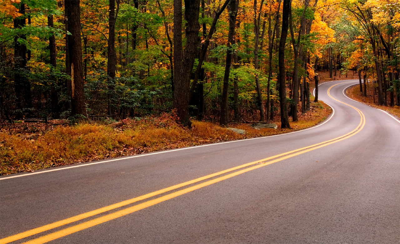 photo from Unit 3 of the Road Safety Fundamentals report showing a winding rural road though a colorful forest in autumn